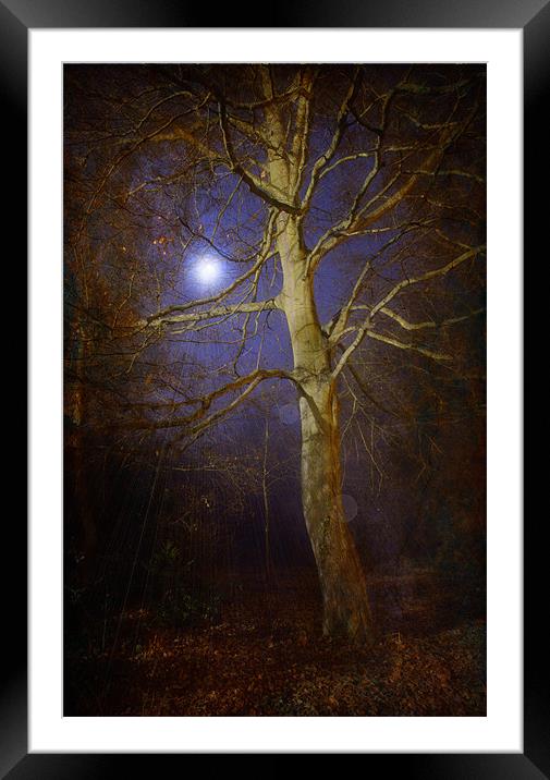 By The Light Of The Moon Framed Mounted Print by Chris Manfield