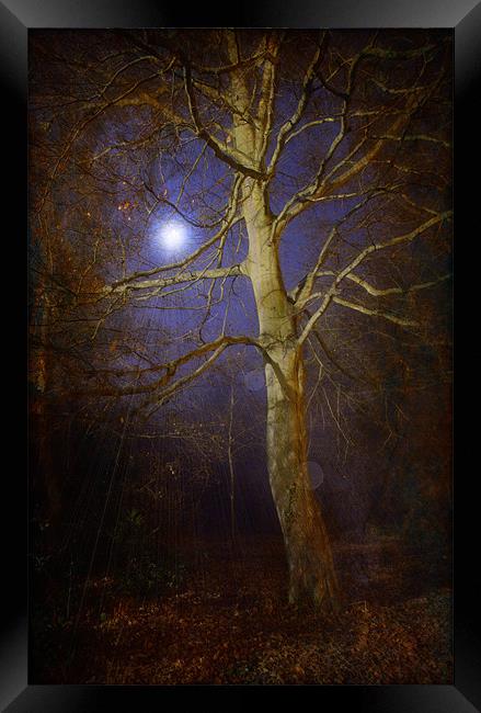 By The Light Of The Moon Framed Print by Chris Manfield