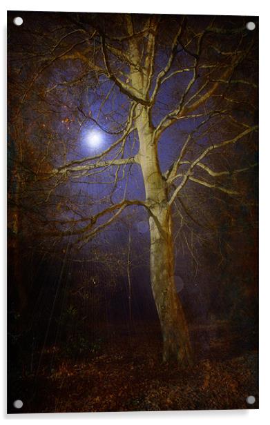By The Light Of The Moon Acrylic by Chris Manfield