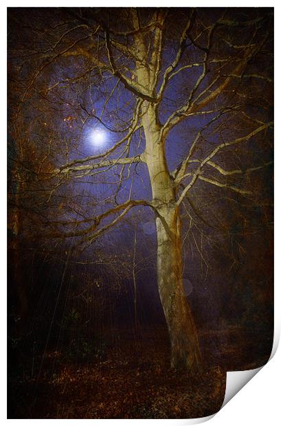 By The Light Of The Moon Print by Chris Manfield
