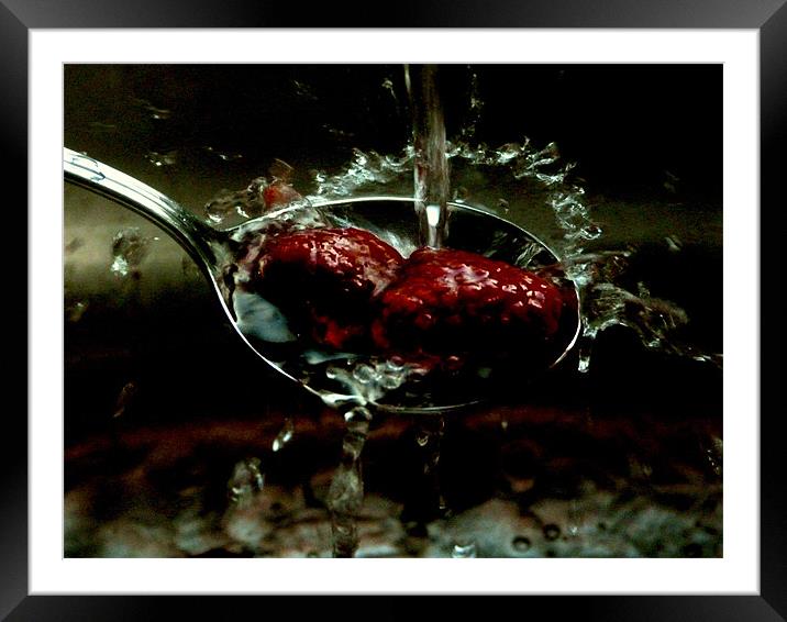 Raspberry splash Framed Mounted Print by Rebecca Wolstenholme