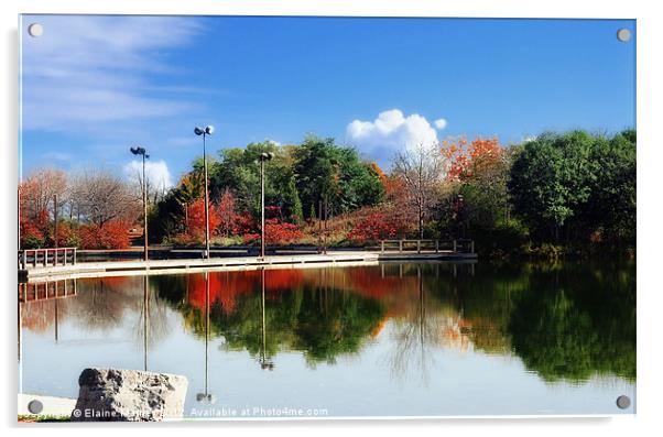 Autumn Reflections Acrylic by Elaine Manley