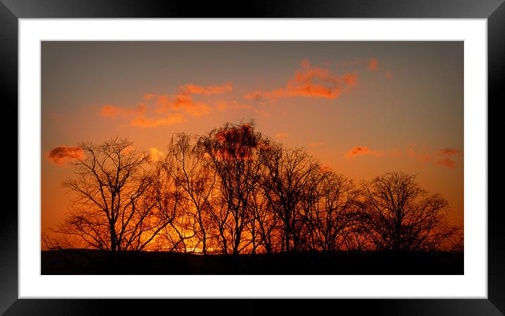 winter sunset Framed Mounted Print by dale rys (LP)