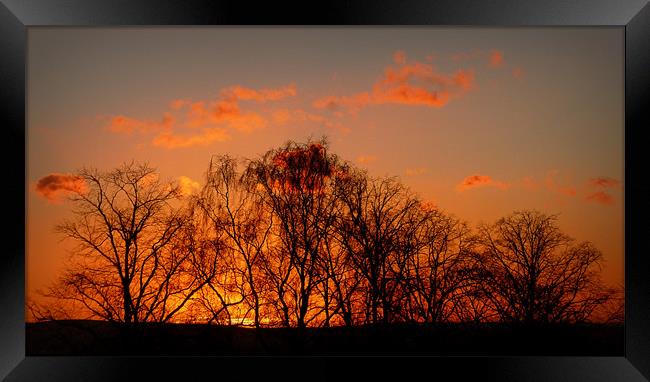 winter sunset Framed Print by dale rys (LP)