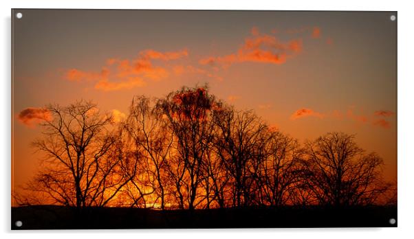 winter sunset Acrylic by dale rys (LP)