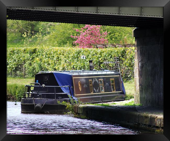 Through The Bridge Framed Print by Ade Robbins