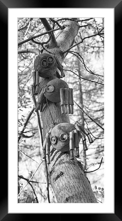 Spider Tree Framed Mounted Print by Fraser Hetherington