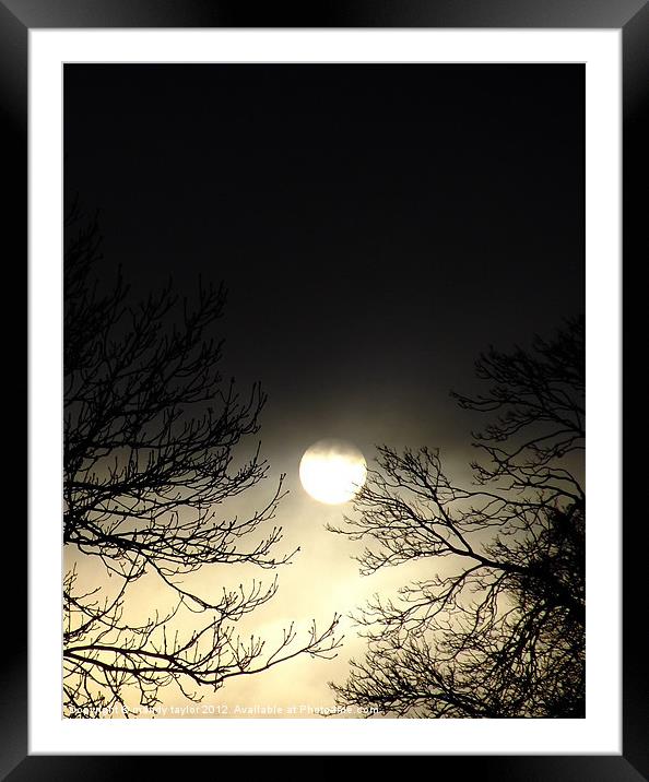 The Dark Sun... Framed Mounted Print by mandy taylor
