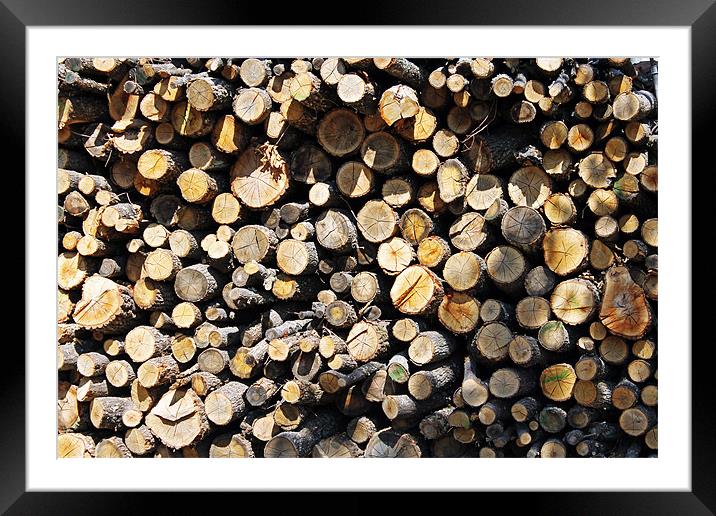 Winter Logs Framed Mounted Print by Tony Murtagh
