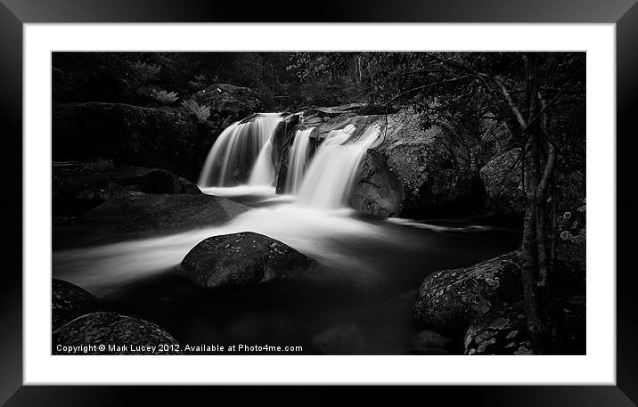 Purity Framed Mounted Print by Mark Lucey