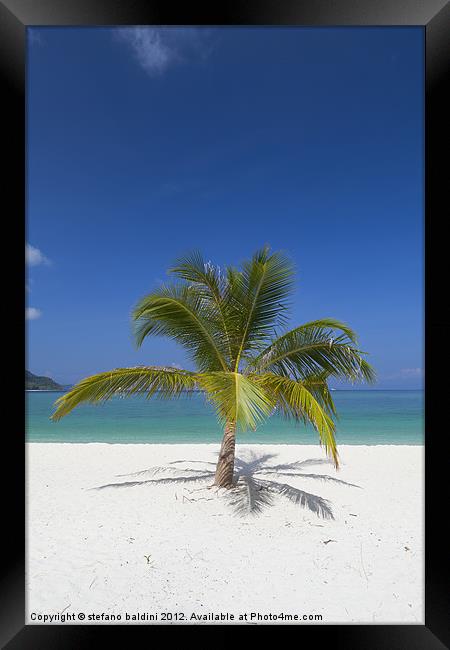 Palm tree on  beach Framed Print by stefano baldini