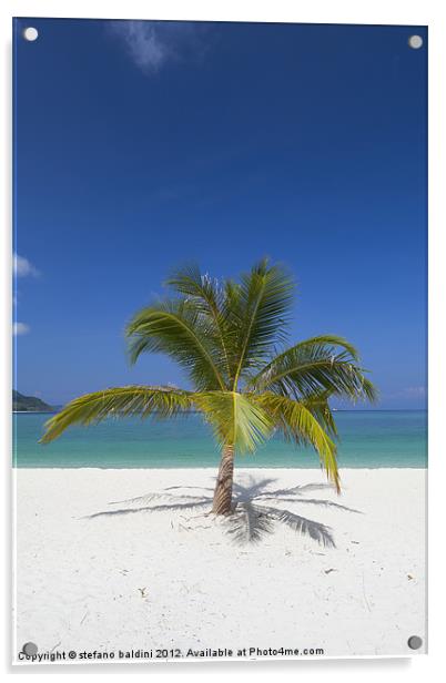 Palm tree on  beach Acrylic by stefano baldini