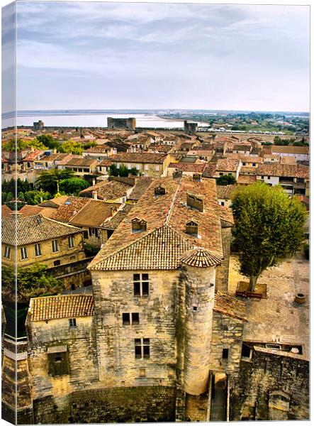 Castle Rooftops Aigues Mortes Canvas Print by Jacqi Elmslie