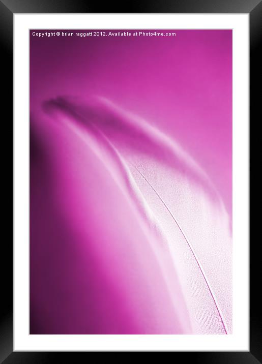 Dreamy Pink Feather Framed Mounted Print by Brian  Raggatt
