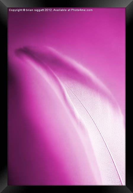 Dreamy Pink Feather Framed Print by Brian  Raggatt