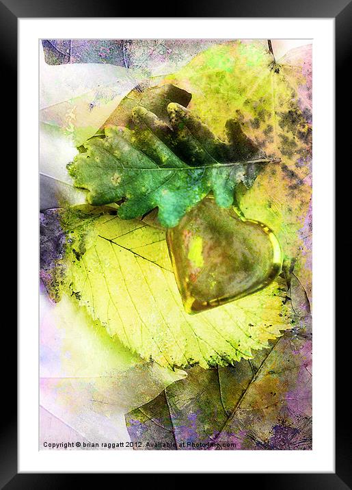 Searching For A Heart of Gold (2) Framed Mounted Print by Brian  Raggatt