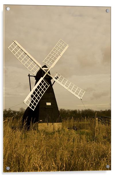 Ageing Windmill  Acrylic by Oliver Porter