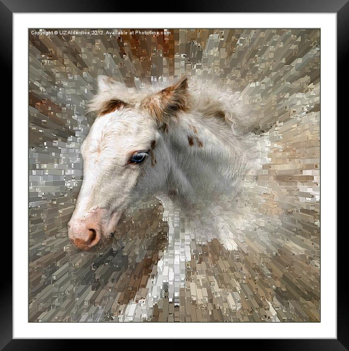 Blue Eye Framed Mounted Print by LIZ Alderdice