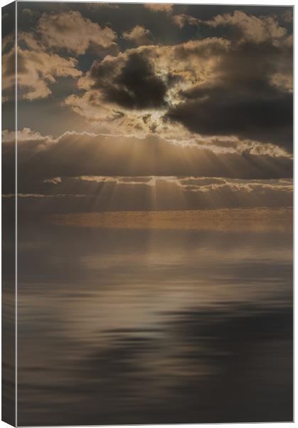 Rays of Sunlight Canvas Print by Natures' Canvas: Wall Art  & Prints by Andy Astbury