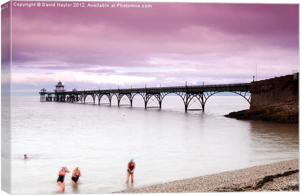 Bathers at Clevedon Pier Canvas Print by David Haylor