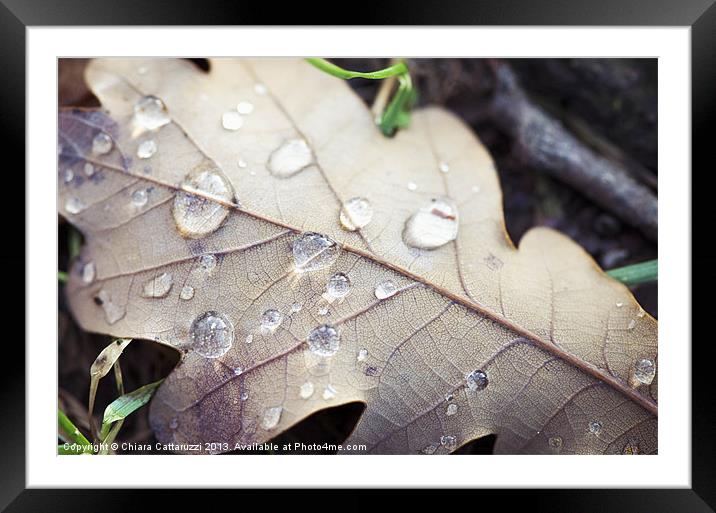 Light in the drops Framed Mounted Print by Chiara Cattaruzzi