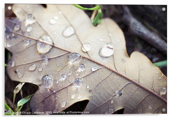 Light in the drops Acrylic by Chiara Cattaruzzi