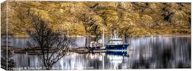 Salmon Fishery on Loch Shieldaig Canvas Print by Tylie Duff Photo Art