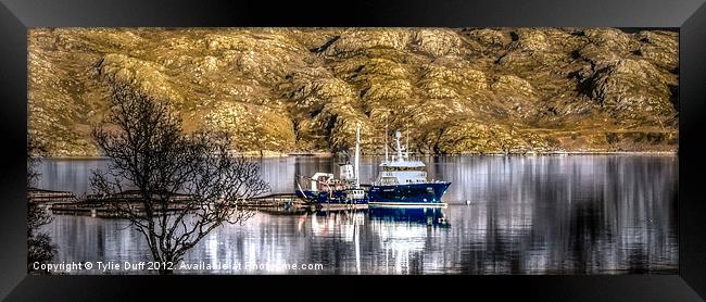 Salmon Fishery on Loch Shieldaig Framed Print by Tylie Duff Photo Art