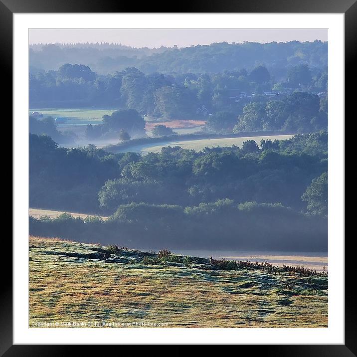 A Rabbits View Framed Mounted Print by Mark  F Banks