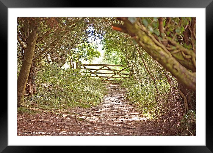 Through the kissing  Gate Framed Mounted Print by Anthony Kellaway