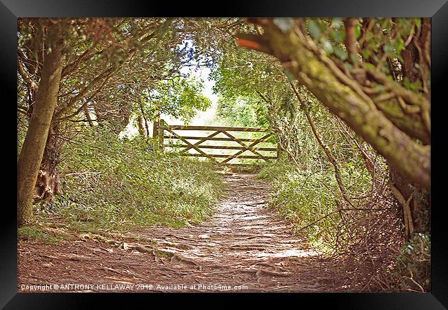 Through the kissing  Gate Framed Print by Anthony Kellaway