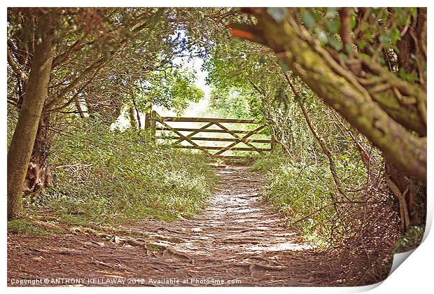 Through the kissing  Gate Print by Anthony Kellaway