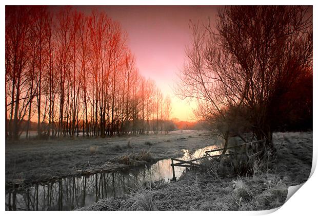 Sunrise On The Blackwater Print by Chris Manfield