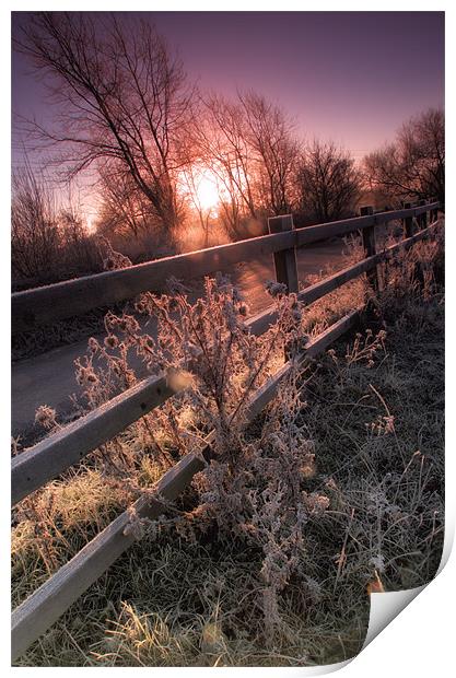 Frosty Morning Sunrise Print by Chris Manfield