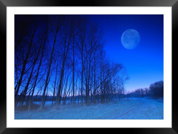 Moonlight Framed Mounted Print by Chris Manfield