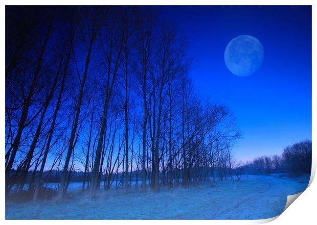 Moonlight Print by Chris Manfield