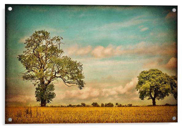 Farmland Acrylic by Sharon Johnstone