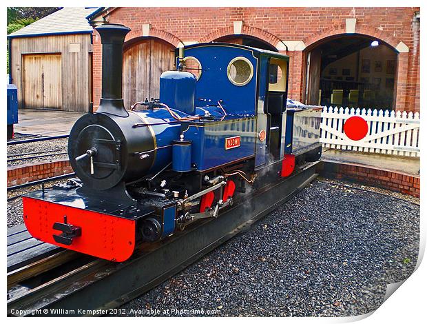 Exbury Garden Steam Locomotive Naomi Print by William Kempster