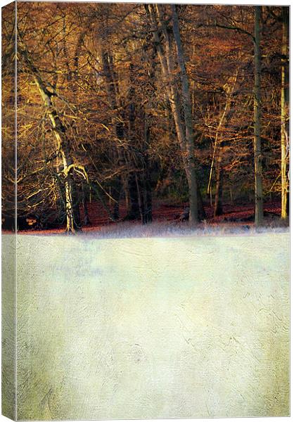 Winter morning Canvas Print by Dawn Cox