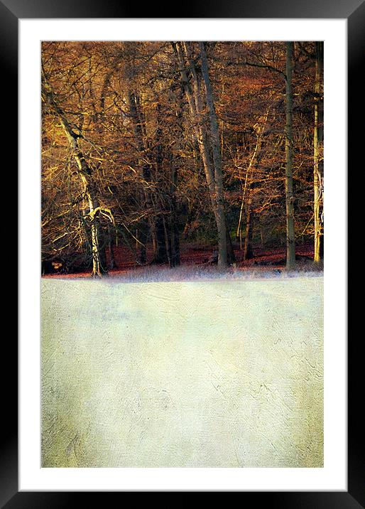 Winter morning Framed Mounted Print by Dawn Cox