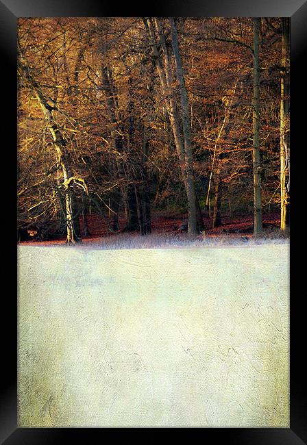 Winter morning Framed Print by Dawn Cox