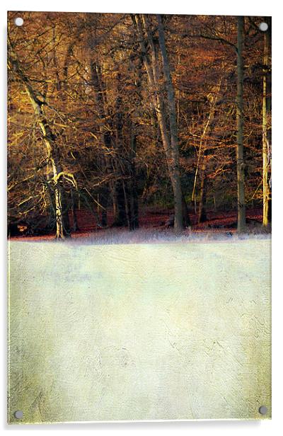 Winter morning Acrylic by Dawn Cox