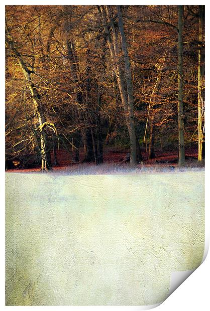 Winter morning Print by Dawn Cox