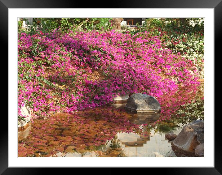 The Flowered River Bank Framed Mounted Print by morgan roberts