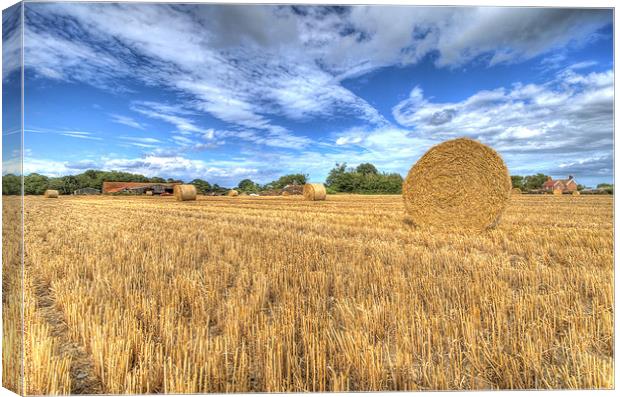 Harvest time in suffolk Canvas Print by Paul Nichols