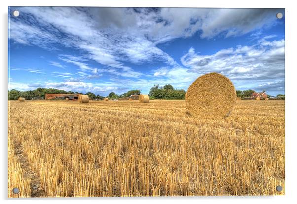 Harvest time in suffolk Acrylic by Paul Nichols