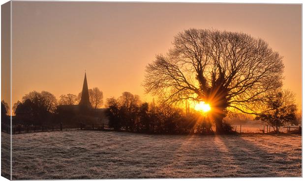 A Winters dawn Canvas Print by Steve Cole