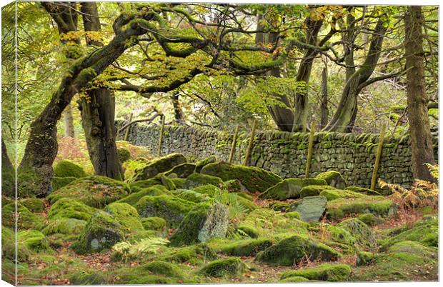 Padley Gorge Canvas Print by Tracey Whitefoot