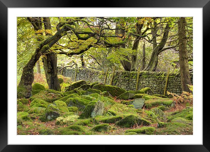 Padley Gorge Framed Mounted Print by Tracey Whitefoot