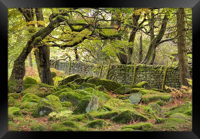 Padley Gorge Framed Print by Tracey Whitefoot